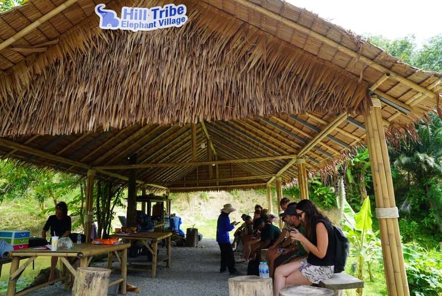 Phuket: Elephant Sanctuary Guided Tour with Hotel Transfers - Key points to know before booking