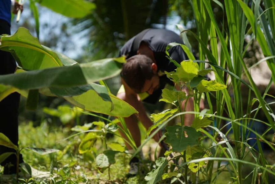 Phuket: Elephant Sanctuary Guided Tour with Hotel Transfers - Who should book this Phuket elephant experience?