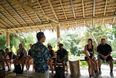 Elephant Sanctuary Guided Tour with Hotel Transfers