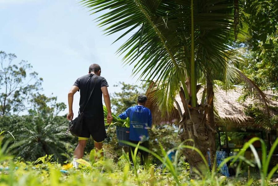 Phuket: Elephant Sanctuary Guided Tour with Hotel Transfers - The elephants and their individual stories