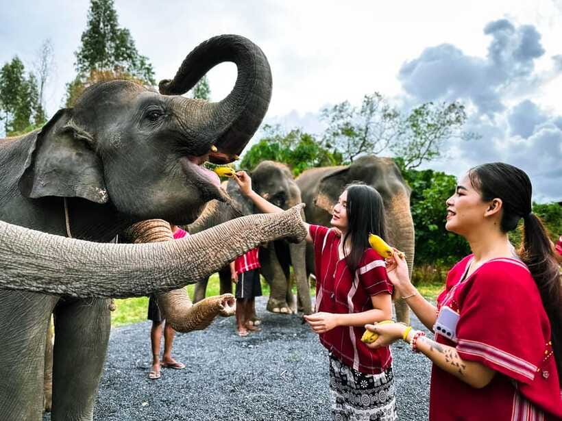 Phuket : Experience feeding and bathing elephants 1.5 Hrs. - Who Will Enjoy This Most?