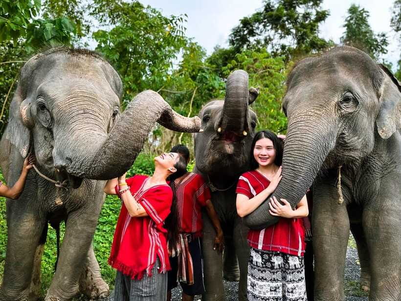 Phuket : Experience feeding and bathing elephants 1.5 Hrs. - Learning About Elephants And Karen Culture