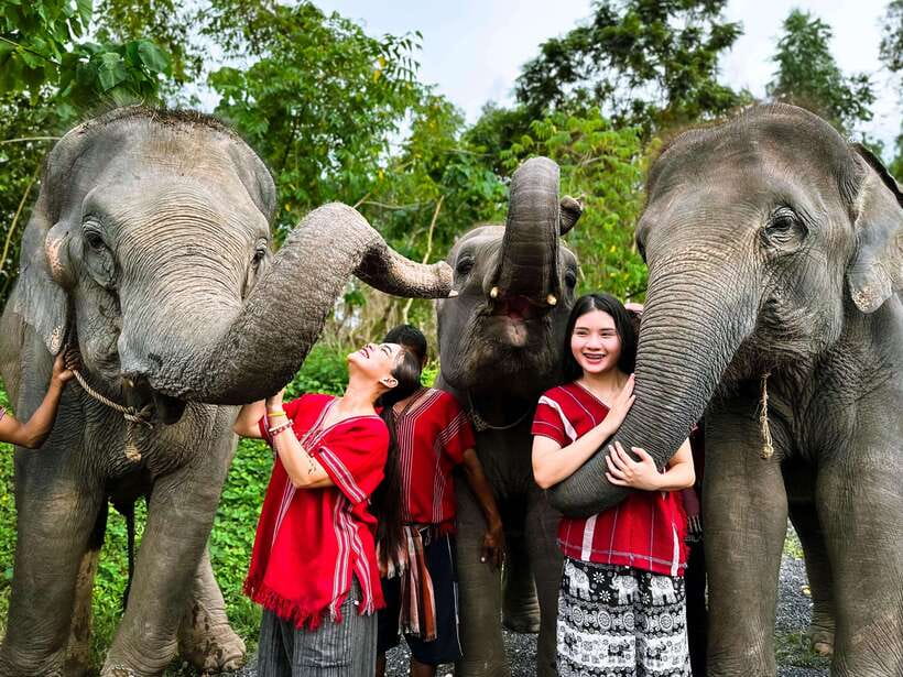 Phuket : Experience feeding and bathing elephants 1.5 Hrs. - The Ride From Phuket To Kerchor Elephant Family