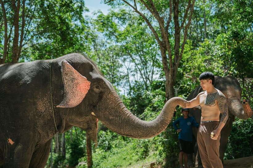 Phuket: Feeding Elephants at Phuket Elephant Care - Photos Without Turning the Visit Into a Show