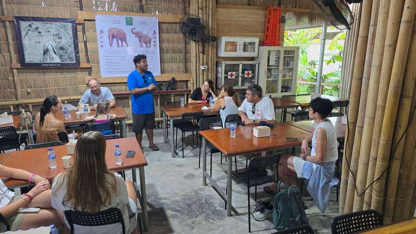 Phuket: Feeding Elephants at Phuket Elephant Care - Coffee, Bread, and an ECO Tourism Introduction