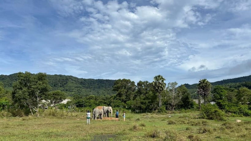 Phuket: Freedom Elephant Reserve - Ethereal Nature Walk - Who will like this elephant experience