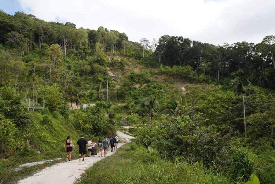 Phuket: Guide Tour to Patong Elephant Sanctuary - Booking flexibility and language