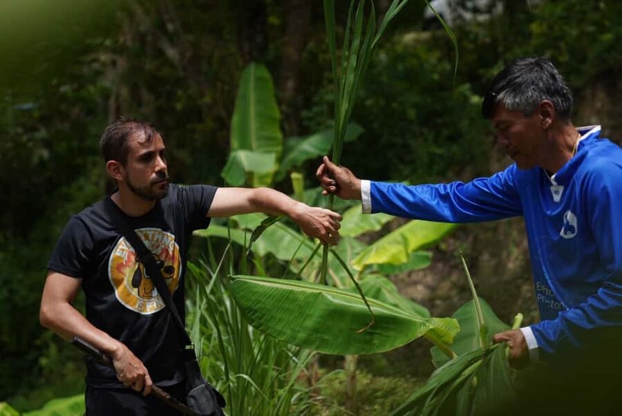 Phuket: Guide Tour to Patong Elephant Sanctuary - Meeting elephants cared for by hill tribe mahouts