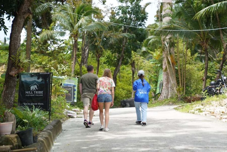 Phuket: Guide Tour to Patong Elephant Sanctuary - Is $45 a fair price?