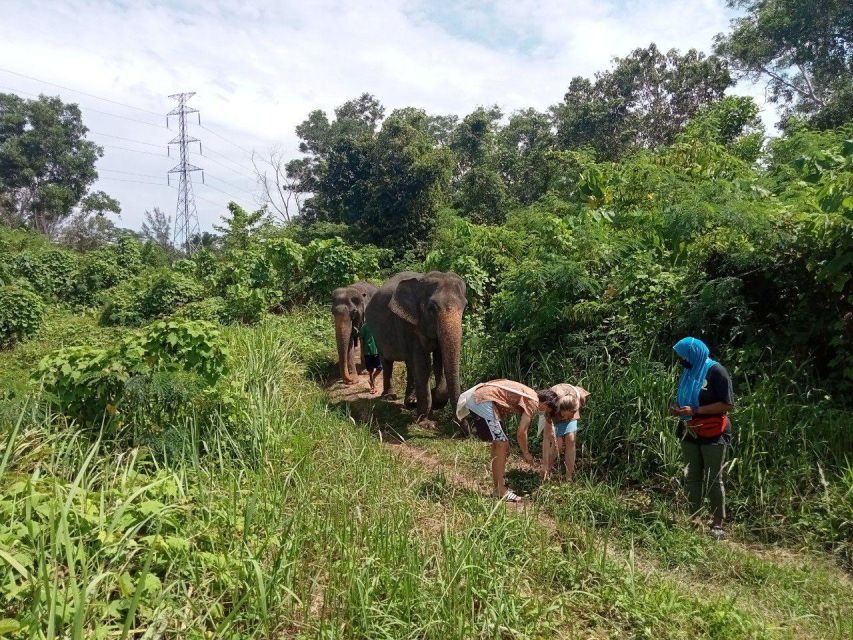Phuket: Guide Tour to Patong Elephant Sanctuary - What to bring and how to prepare