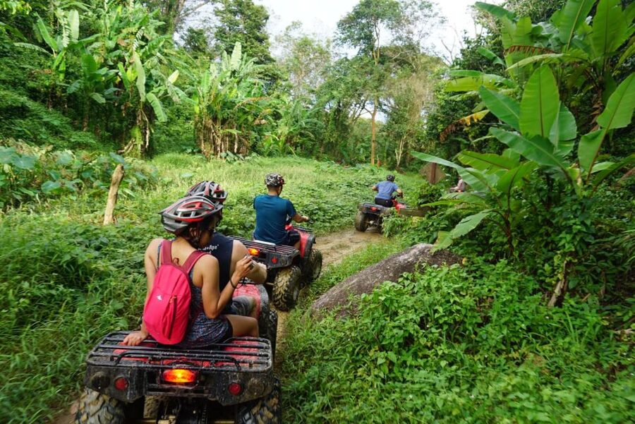 Phuket: Guided ATV Tour - Riding through rubber trees and Phuket forest