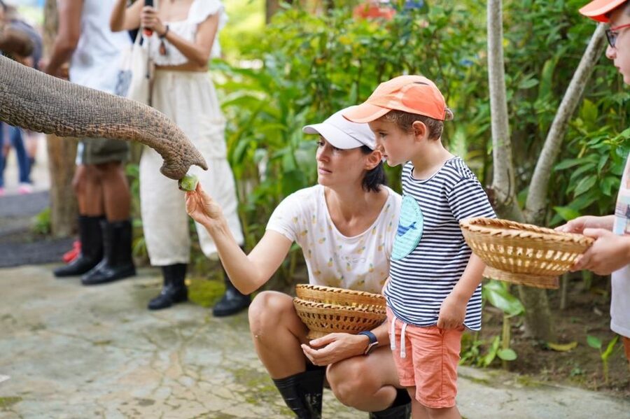 Phuket: Guided Tour to Elephant Sanctuary & Hotel Transfer - Is $38 good value?