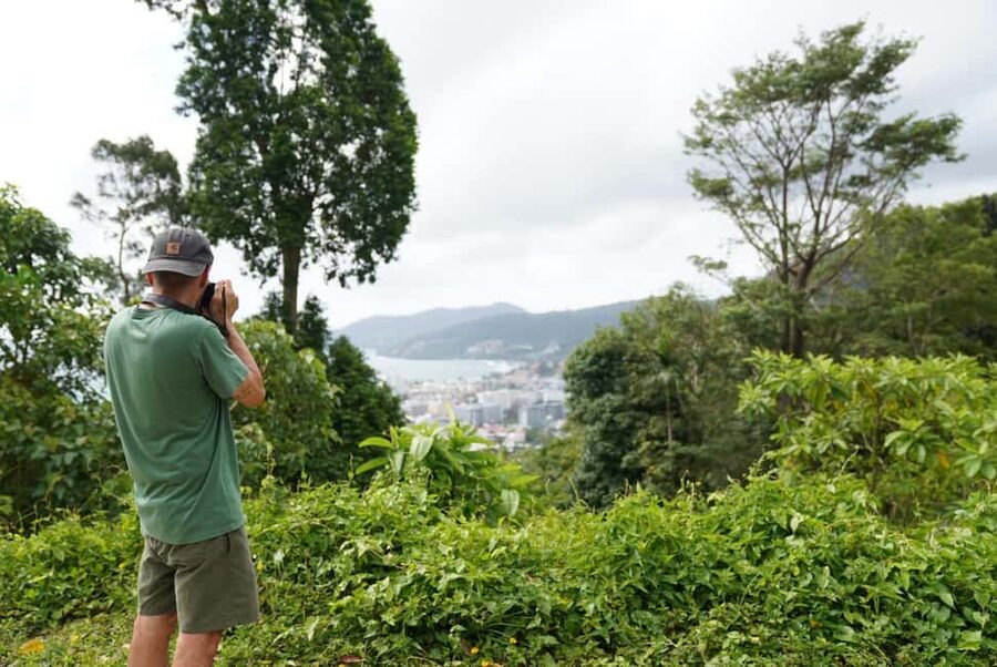 Phuket : Guided Tour to Elephant Sanctuary with Transfers - Walking through the forest beside free-roaming elephants