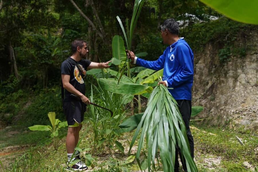 Phuket : Guided Tour to Elephant Sanctuary with Transfers - Cutting banana trees and gathering fresh grass