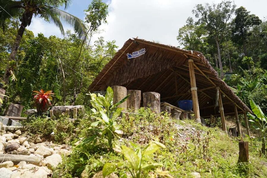 Phuket : Guided Tour to Elephant Sanctuary with Transfers - What the ethical approach means here