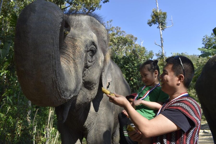 Phuket: Half Day or 2-Hour Ethical Elephant Care Sanctuary - What the $36 price really includes