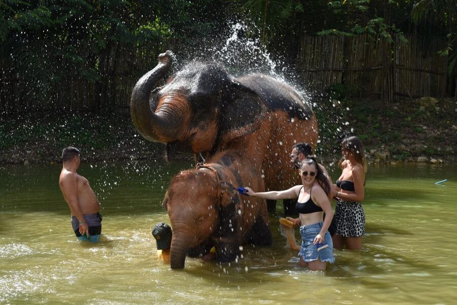 Phuket: Half Day or 2-Hour Ethical Elephant Care Sanctuary - Hotel pickup is useful, but allow extra time