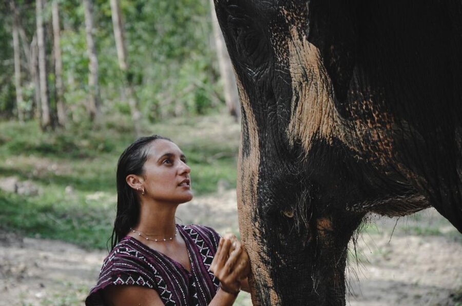 Phuket: Half Day or 2-Hour Ethical Elephant Care Sanctuary - The Thai cooking class adds real value