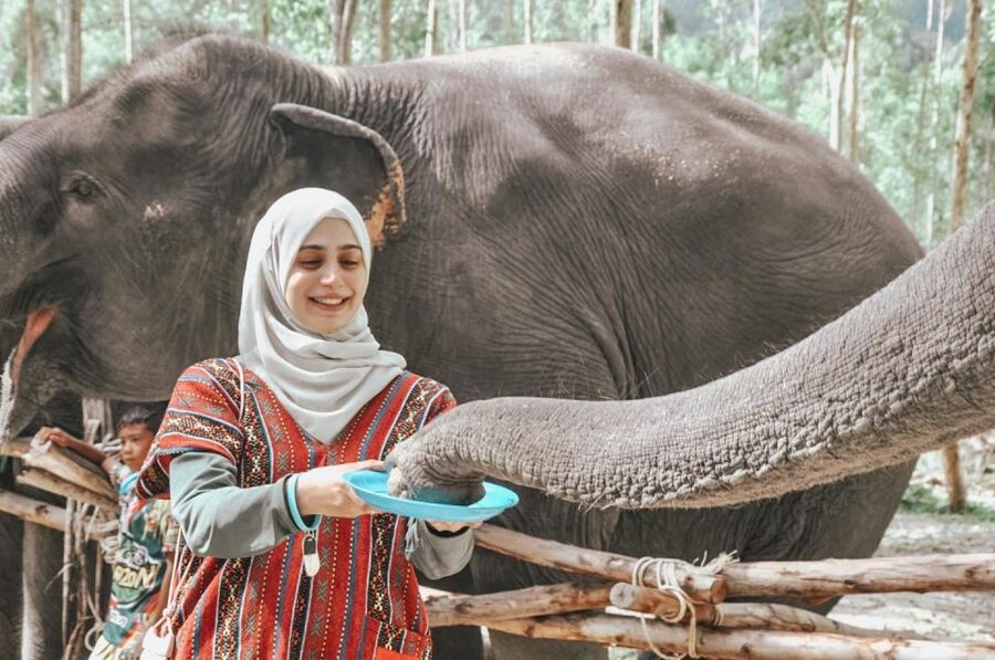 Phuket: Half Day or 2-Hour Ethical Elephant Care Sanctuary - Mud, water, and the half-day highlight