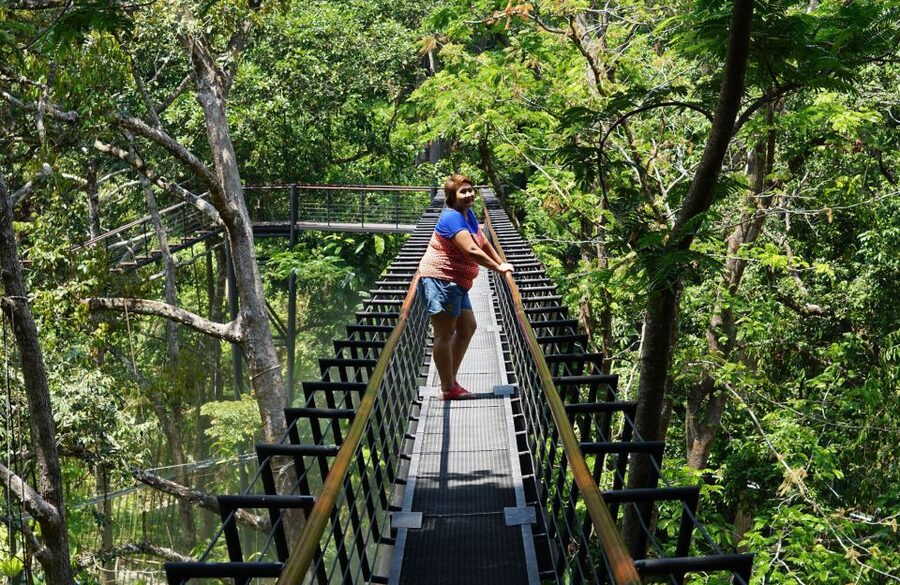 Phuket: Hanuman World Zip Line Adventure - Arriving in Phuket’s Forest Canopy