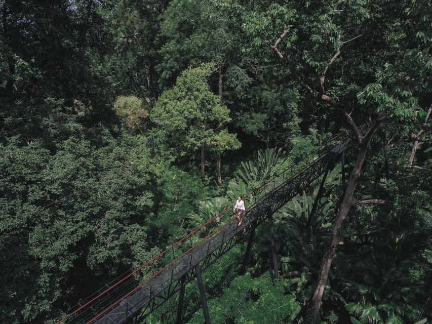 Phuket: Hanuman World Zip Line Adventure - Sixteen Zip Lines Through the Treetops