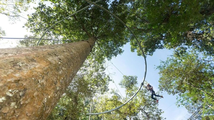 Phuket: Hanuman World Zip Line Adventure - What to Bring and What to Expect on the Day