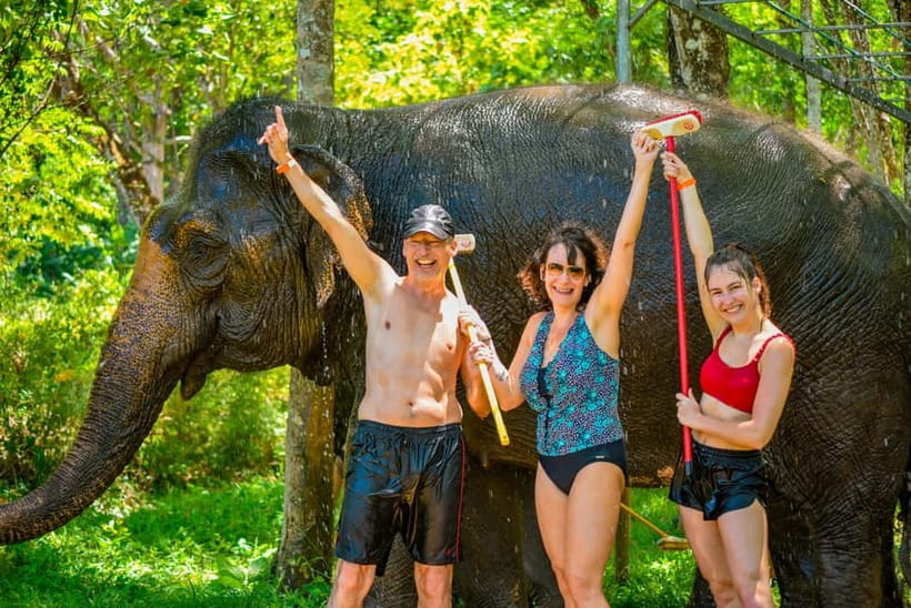 Phuket: Happy Hour Feed and Rain Shower with Elephant - The Rain Shower: Wet, Simple, and Hands-On