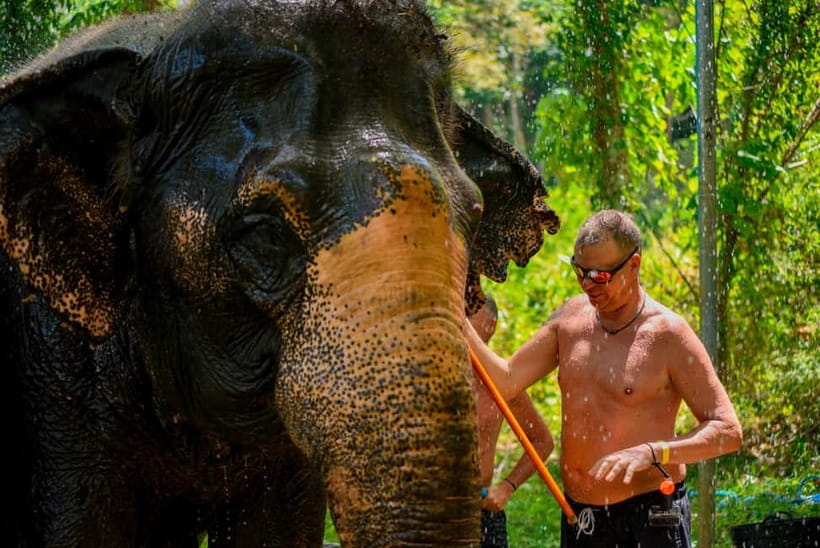 Phuket: Happy Hour Feed and Rain Shower with Elephant - Why the No-Riding Policy Matters