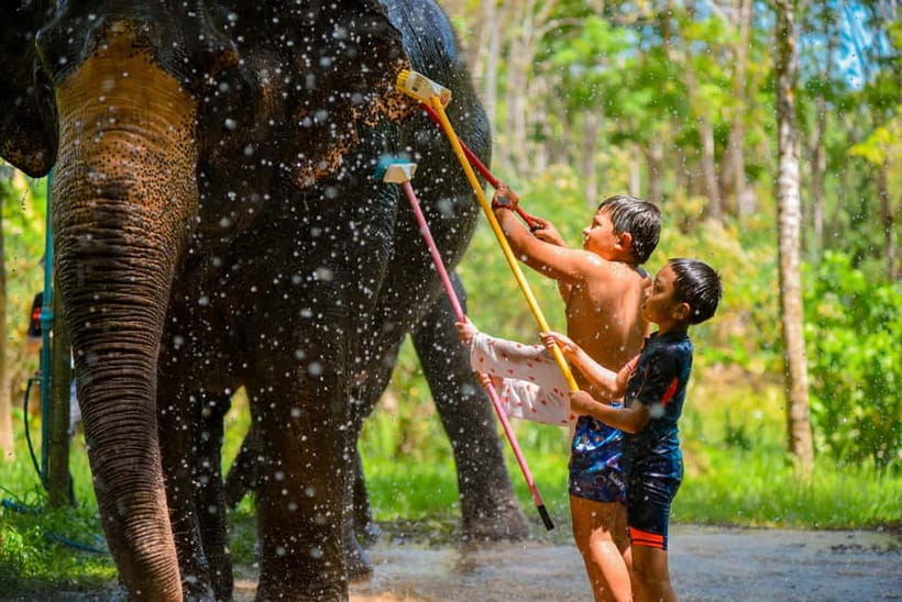 Phuket: Happy Hour Feed and Rain Shower with Elephant - Staff, Guide, and Small Extras