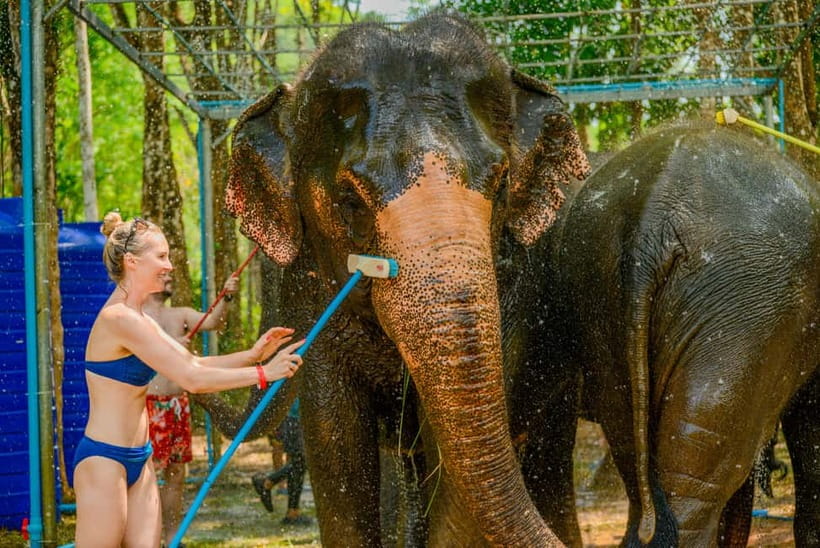 Phuket: Happy Hour Feed and Rain Shower with Elephant - Finding the Camp and Planning Your Arrival