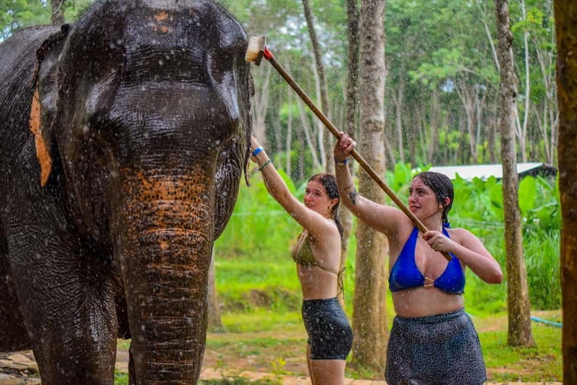 Phuket: Happy Hour Feed and Rain Shower with Elephant - What to Bring for the Water Activity