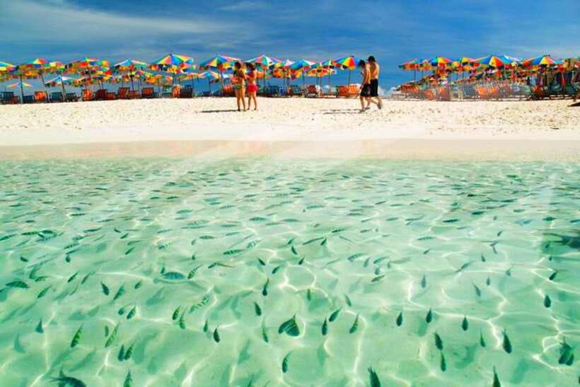 Phuket: Khai Nok, Khai Nai, and Khai Nui Island Day Trip - What the $24 price really covers