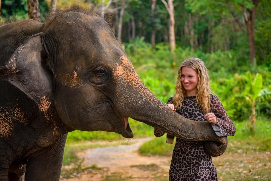 Phuket: Make & Meet The Gentle Giant Experience - Key Points Before You Book