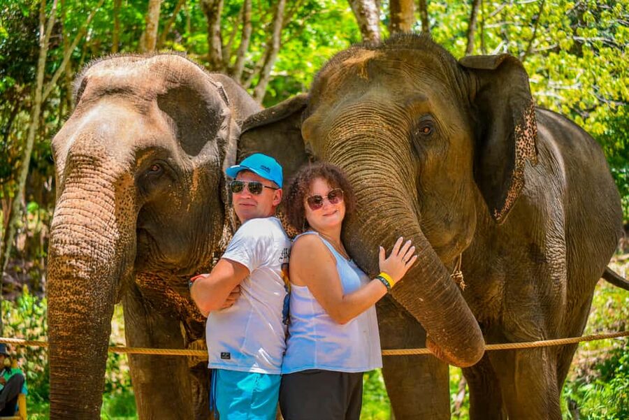 Phuket: Make & Meet The Gentle Giant Experience - What This Phuket Elephant Visit Actually Offers