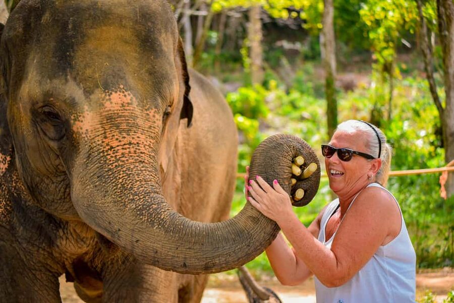 Phuket: Make & Meet The Gentle Giant Experience - Feeding the Elephants Watermelon, Bananas, and Vitamin Balls