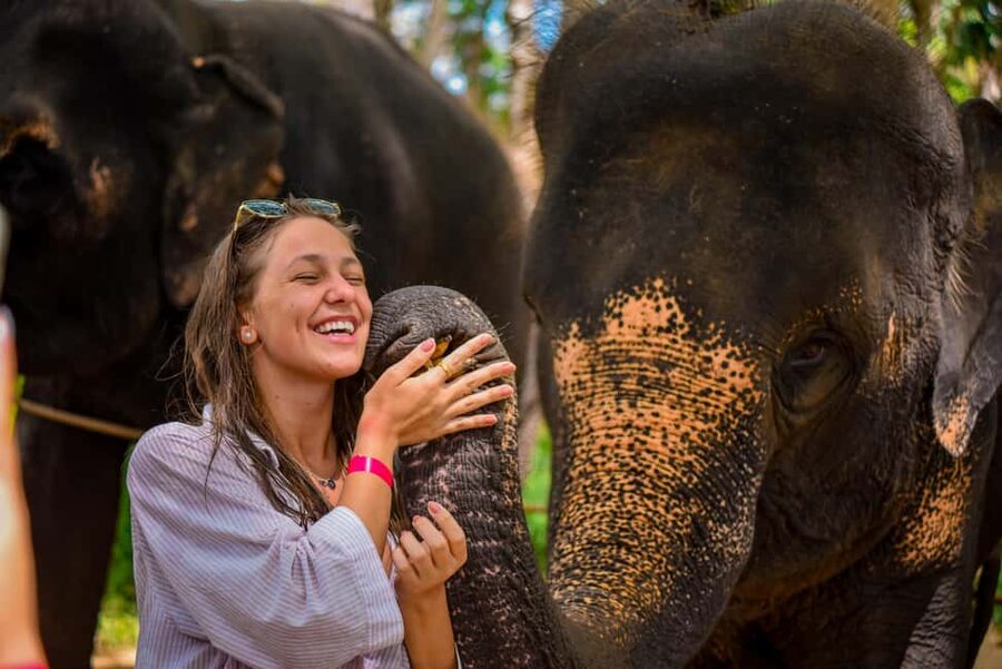 Phuket: Make & Meet The Gentle Giant Experience - What Makes the $34 Price Fair