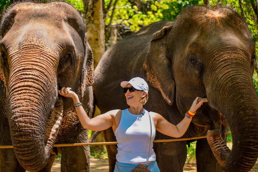 Phuket: Make & Meet The Gentle Giant Experience - Staff Guidance and the Feel of the Visit