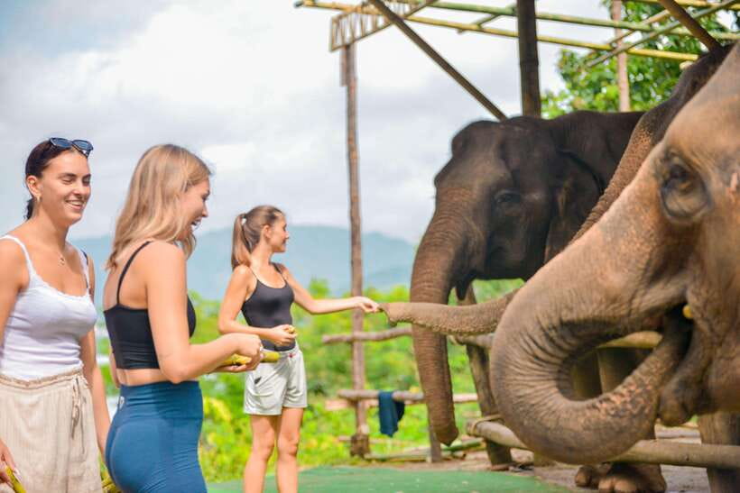 Phuket: Make & Meet The Gentle Giant Experience - Who Will Enjoy This Experience Most