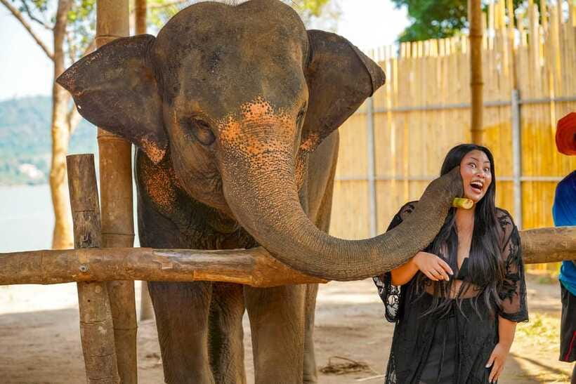 Phuket: Make & Meet The Gentle Giant Experience - Cancellation and Booking Flexibility