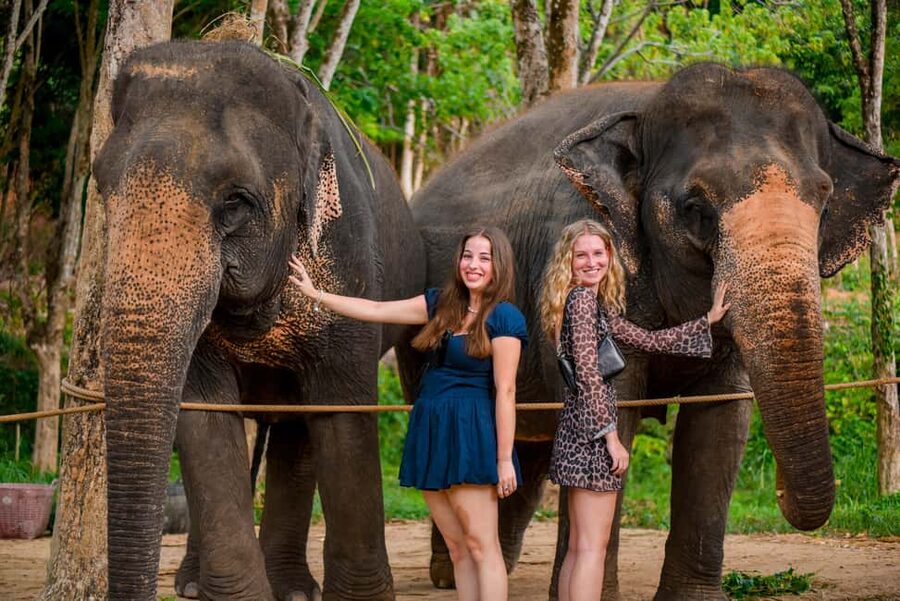 Phuket: Make & Meet The Gentle Giant Experience - Making Vitamin Balls With Sticky Rice and Bananas