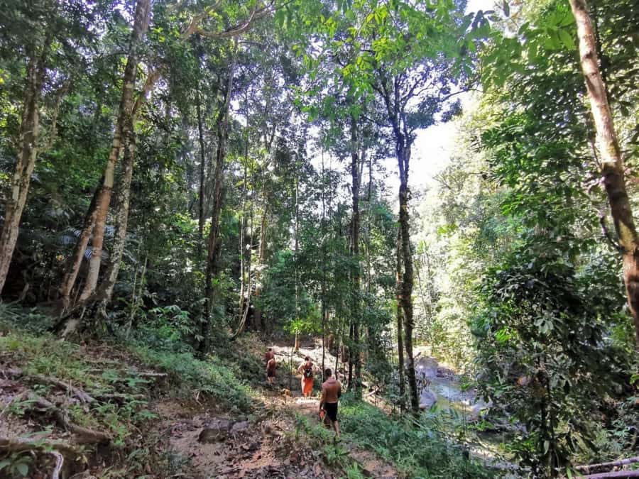 Phuket: Monkey Cave, Water Rafting, Zipline with ATV Option - A short forest walk and waterfall stop