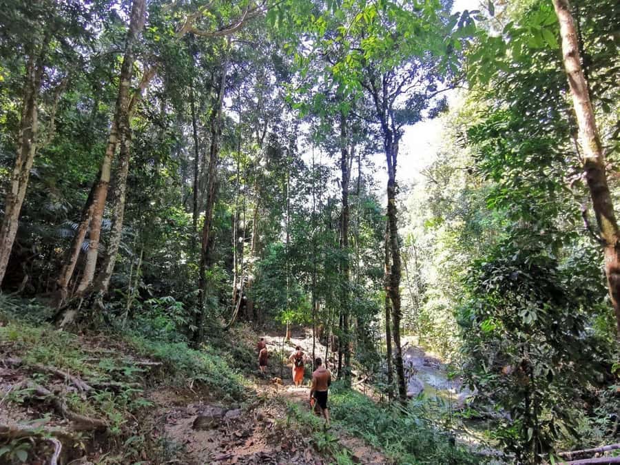 Phuket: Monkey Cave, Water Rafting, Zipline with ATV Option - Is $44 good value for this Phuket day trip?