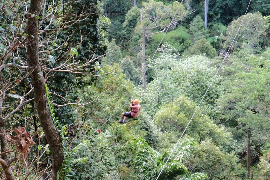 Phuket: Paradise Jungle Zipline Adventure - Who should book, and who should skip it