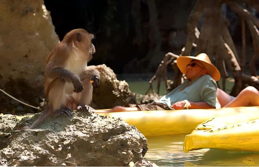Phuket: Phang Nga,Hong & James Bond Islands by Big Boat - The morning transfer from Karon or Patong