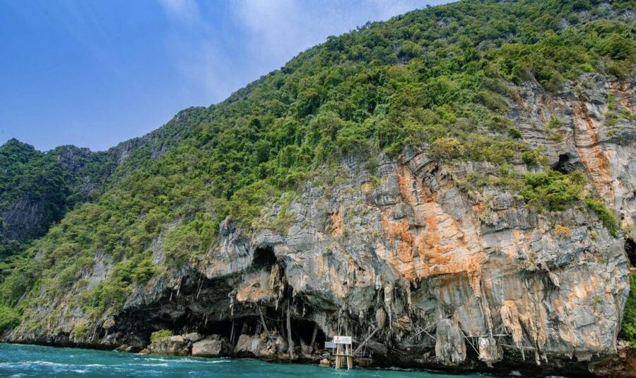 Phuket: Phi Phi Islands and Maya Bay Day Trip with Lunch - Monkey Beach, Nui Bay, and Zcoco Beach