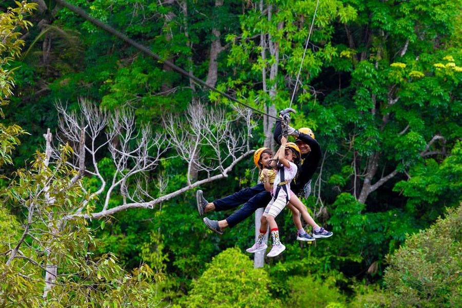 Phuket: Rainforest Eco Zipline Expedition - Is $33 good value?