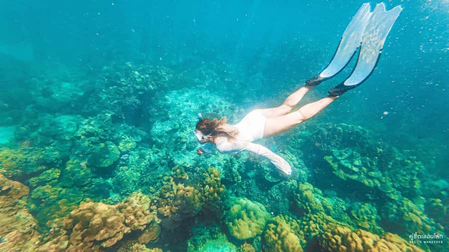 Phuket: Speedboat Day Trip to Phi Phi and Maya Bay - Key points at a glance