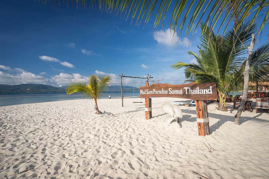 Pig Island(Koh Mudsum) and Koh Tan Half Day Snorkeling Tour - Key points to know before you go