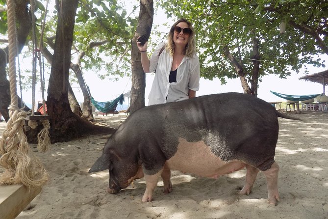 Pig Island Snorkeling & Sightseeing Tour By Speedboat From Koh Samui - What the lunch and inclusions are worth