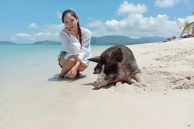 Pig Island Snorkeling & Sightseeing Tour By Speedboat From Koh Samui - Crowds, comfort, and the overall pace